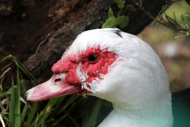 的认真思考 的认真思考