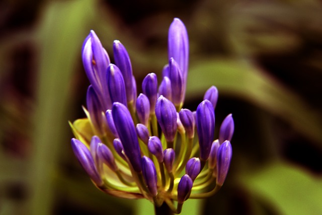 篮球纯粹的 篮球纯粹的