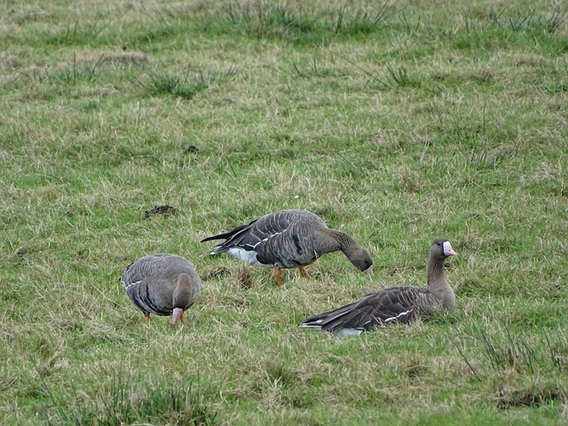 性格和沟通 性格和沟通