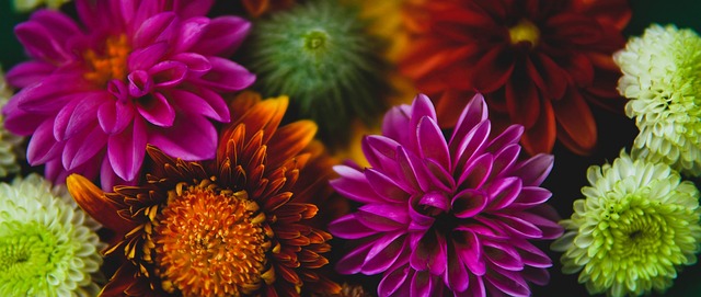 和团队配合 和团队配合