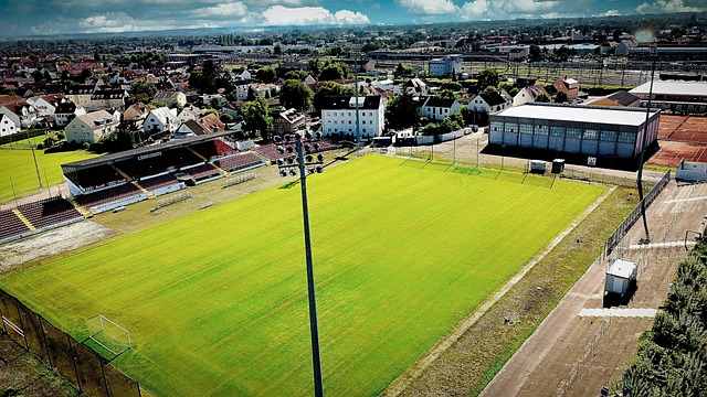 虽然莫拉塔 虽然莫拉塔