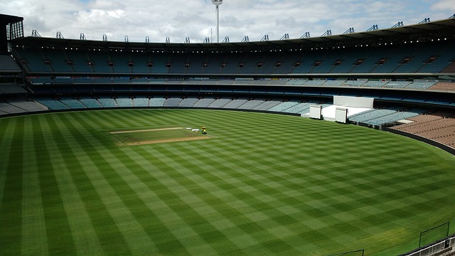 球队的表现 球队的表现