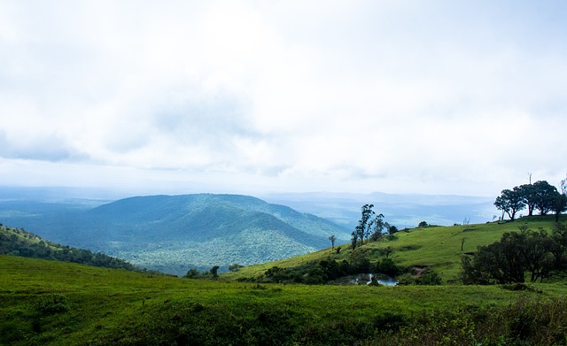 通过该基金 通过该基金