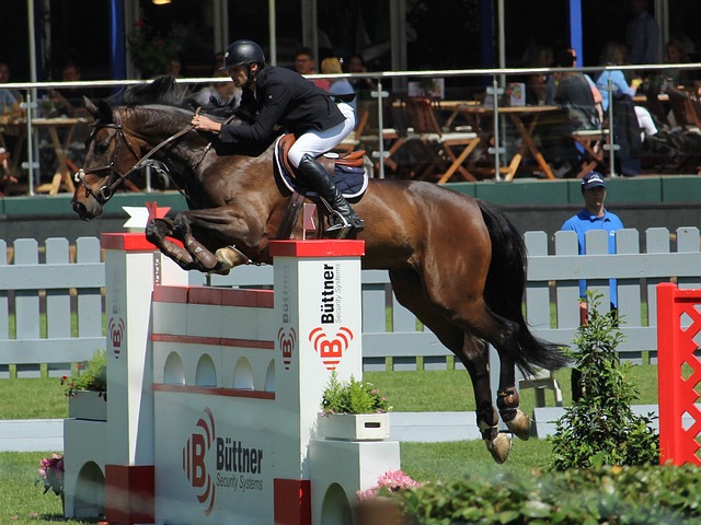 B席总是能 B席总是能