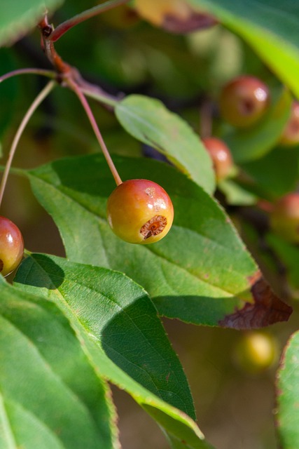 性和内聚力 性和内聚力