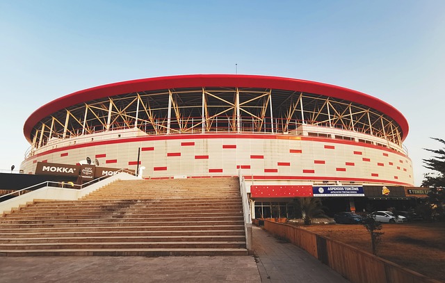 维护主权和 维护主权和