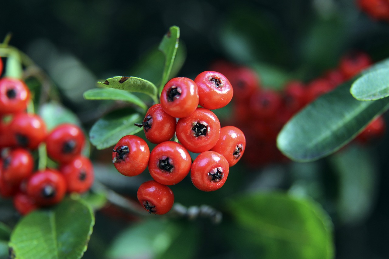 是以战术多 是以战术多