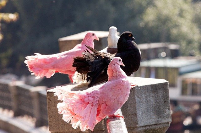 友好关系中 友好关系中